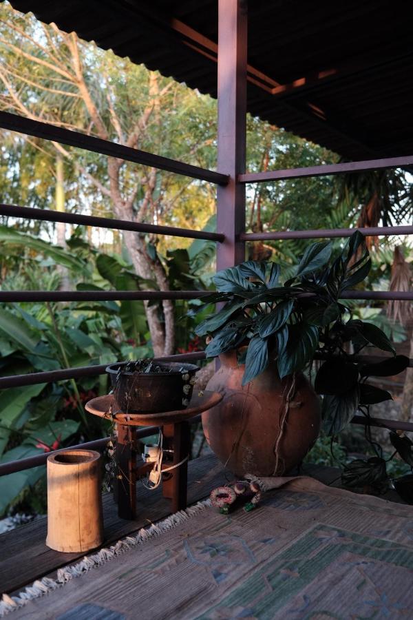 Habitacion Dentro Kaabna Spa 比亚埃尔莫萨 外观 照片
