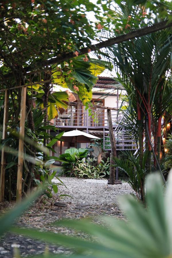 Habitacion Dentro Kaabna Spa 比亚埃尔莫萨 外观 照片
